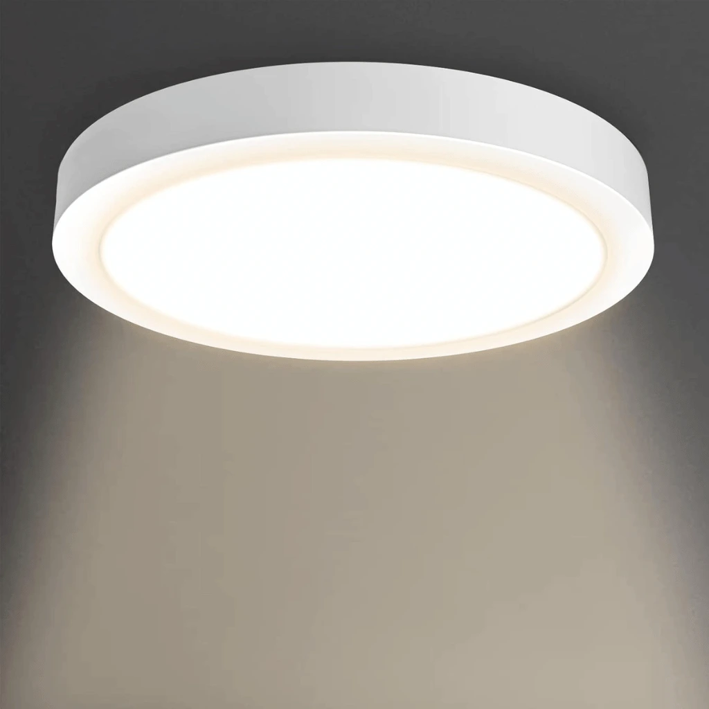 LED ceiling light